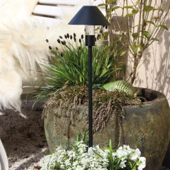 APOLLO 2in1 Pollare 65cm Svart IP44