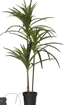 BALI Dekorationsträd 90x55cm 50LED Batteri
