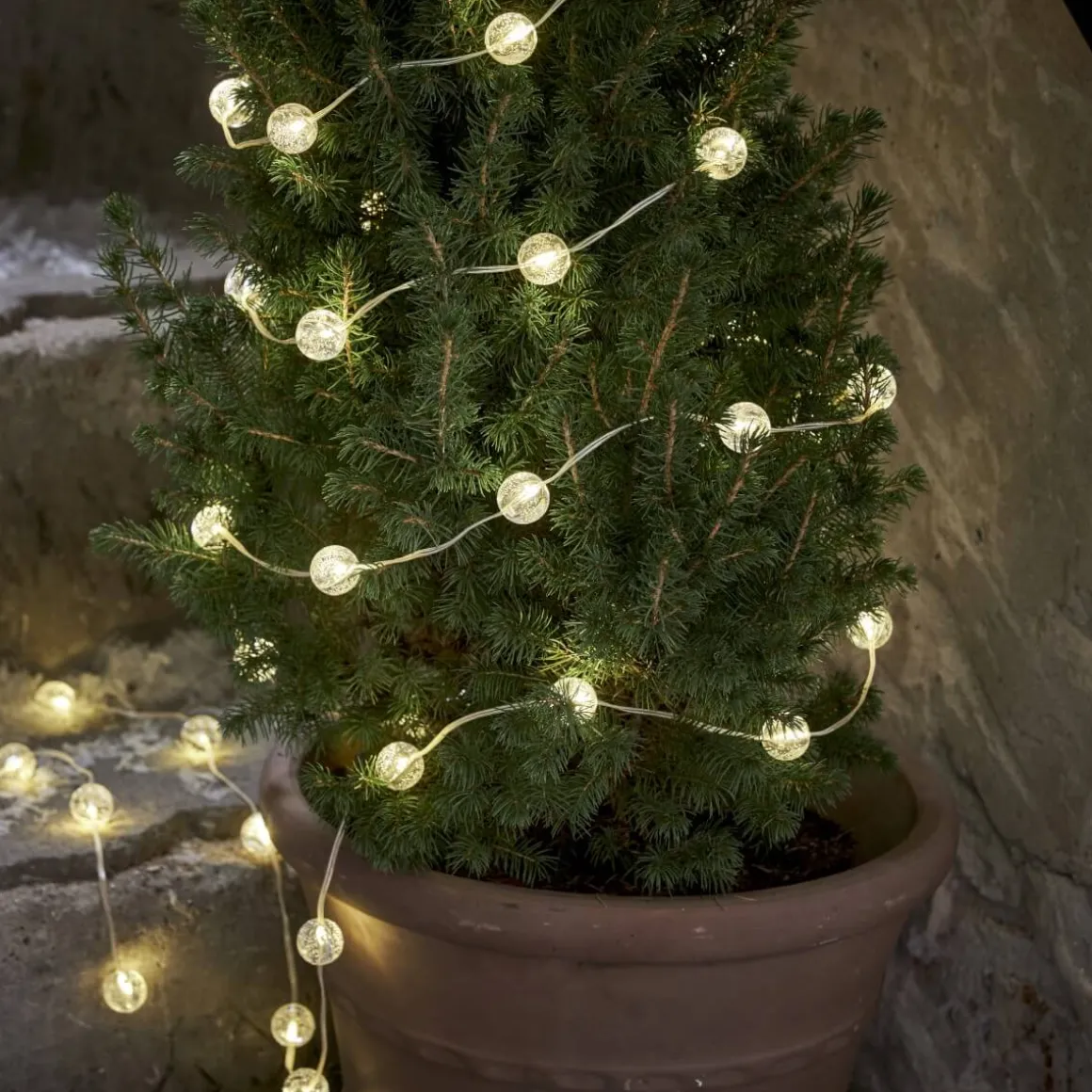 BERRY Ljusslinga Batteri 5m 50LED Varmvit/Transparent