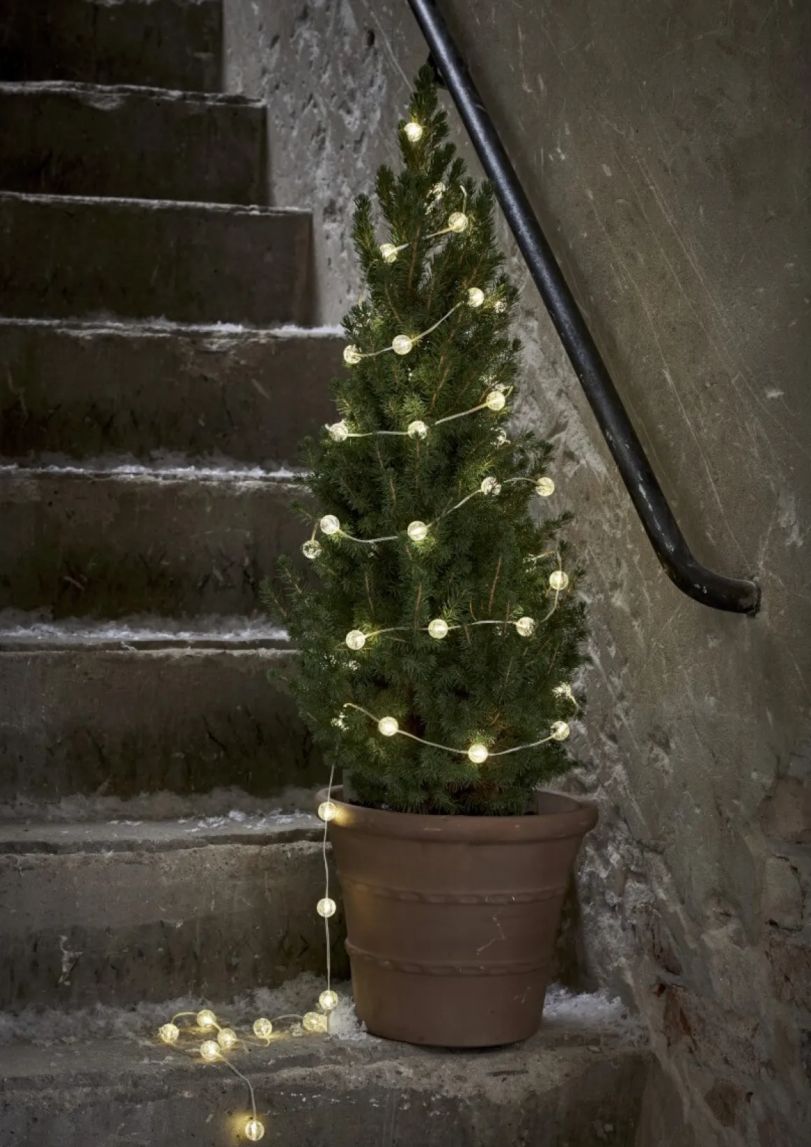 BERRY Ljusslinga Batteri 5m 50LED Varmvit/Transparent