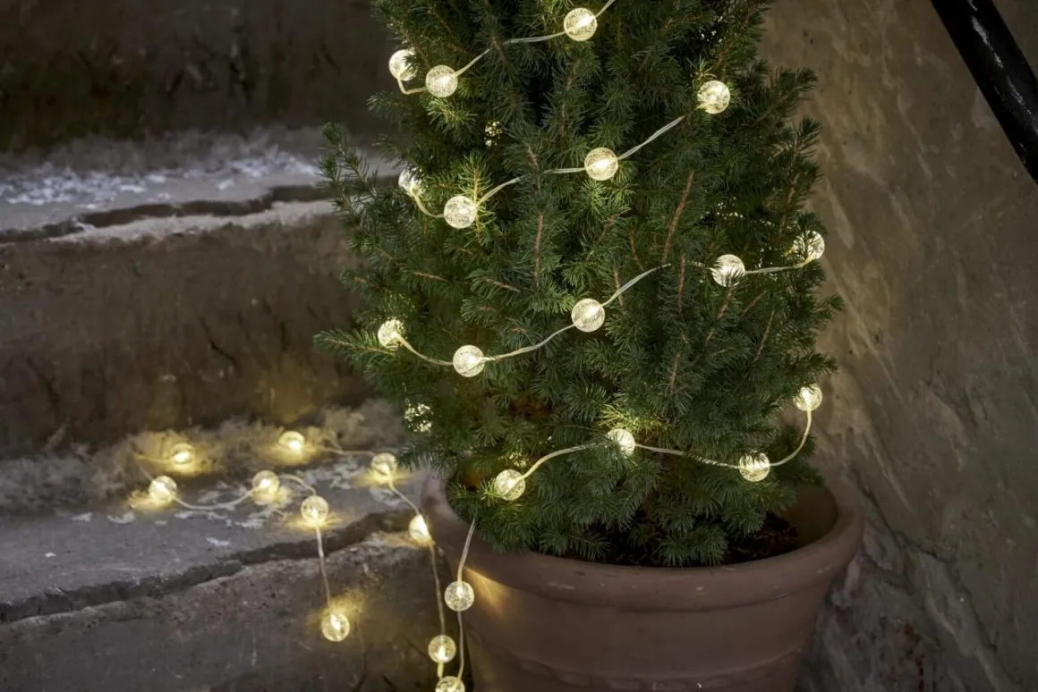 BERRY Ljusslinga Batteri 5m 50LED Varmvit/Transparent