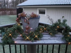 CANADIAN Girland 2,5m 30LED IP44