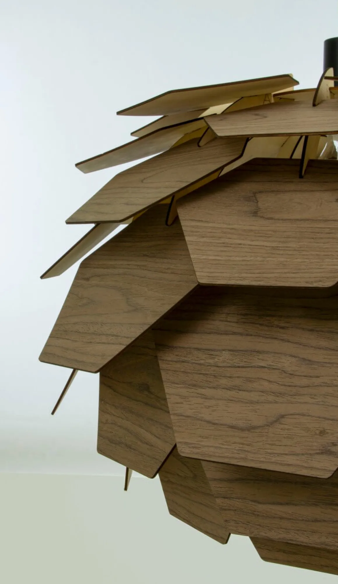 CARPATICA Taklampa Ø60 Fanér 60cm Brunbets