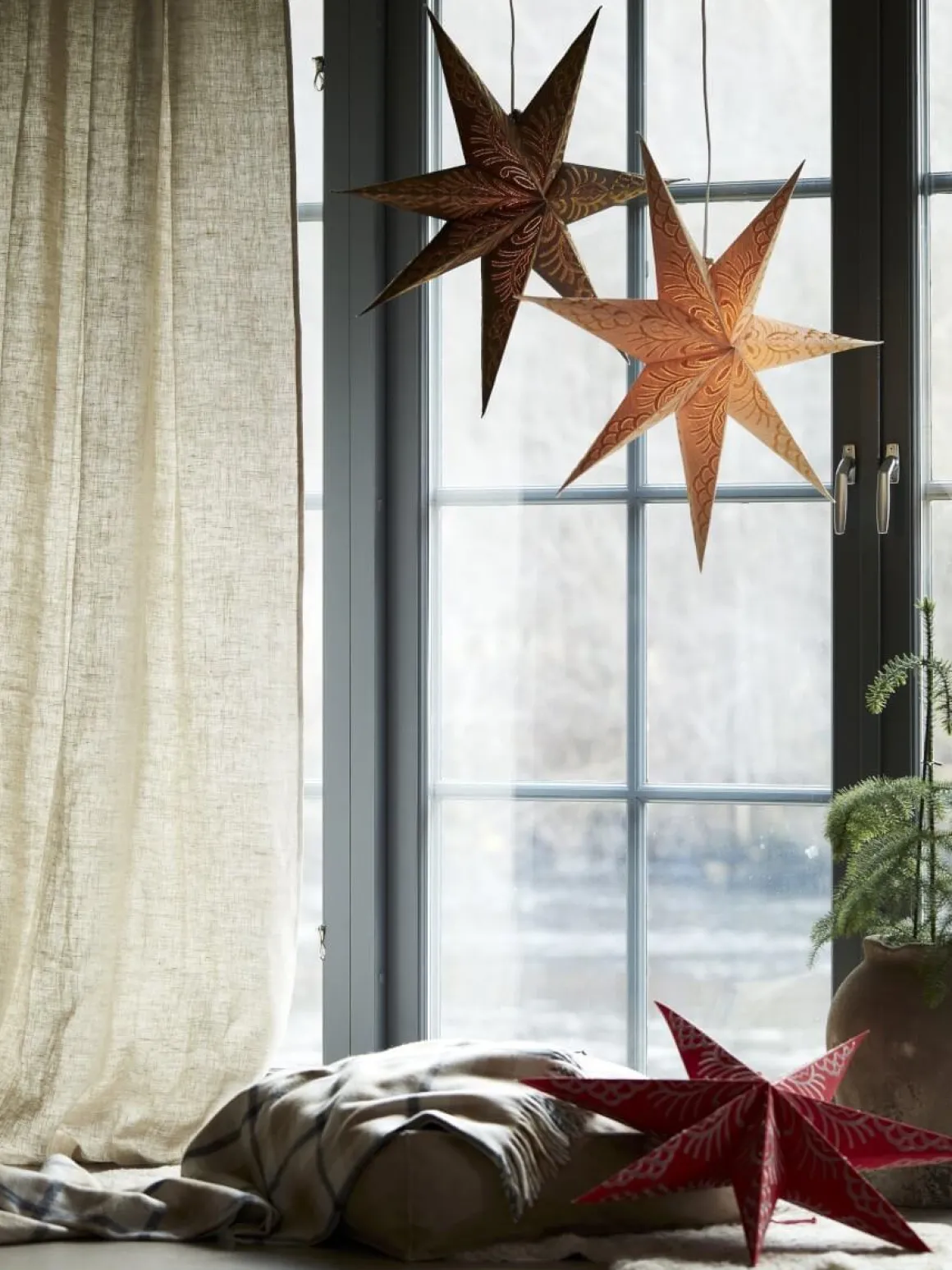 CELESTE Julstjärna 60cm Brun/Guld