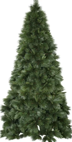 CEMBRA Julgran 3m Grön