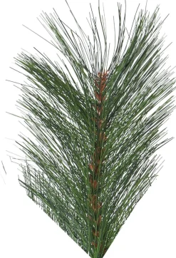 CEMBRA Julgran 2,4m Grön