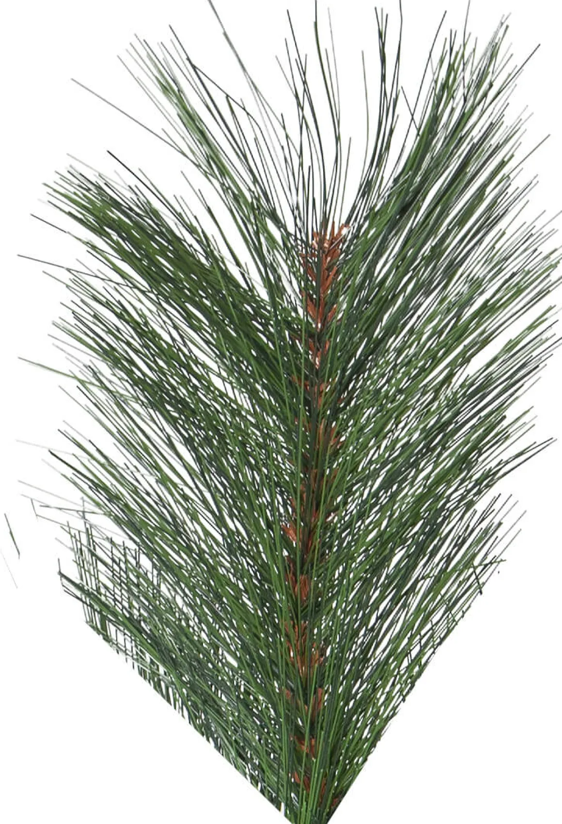 CEMBRA Julgran 2,4m Grön