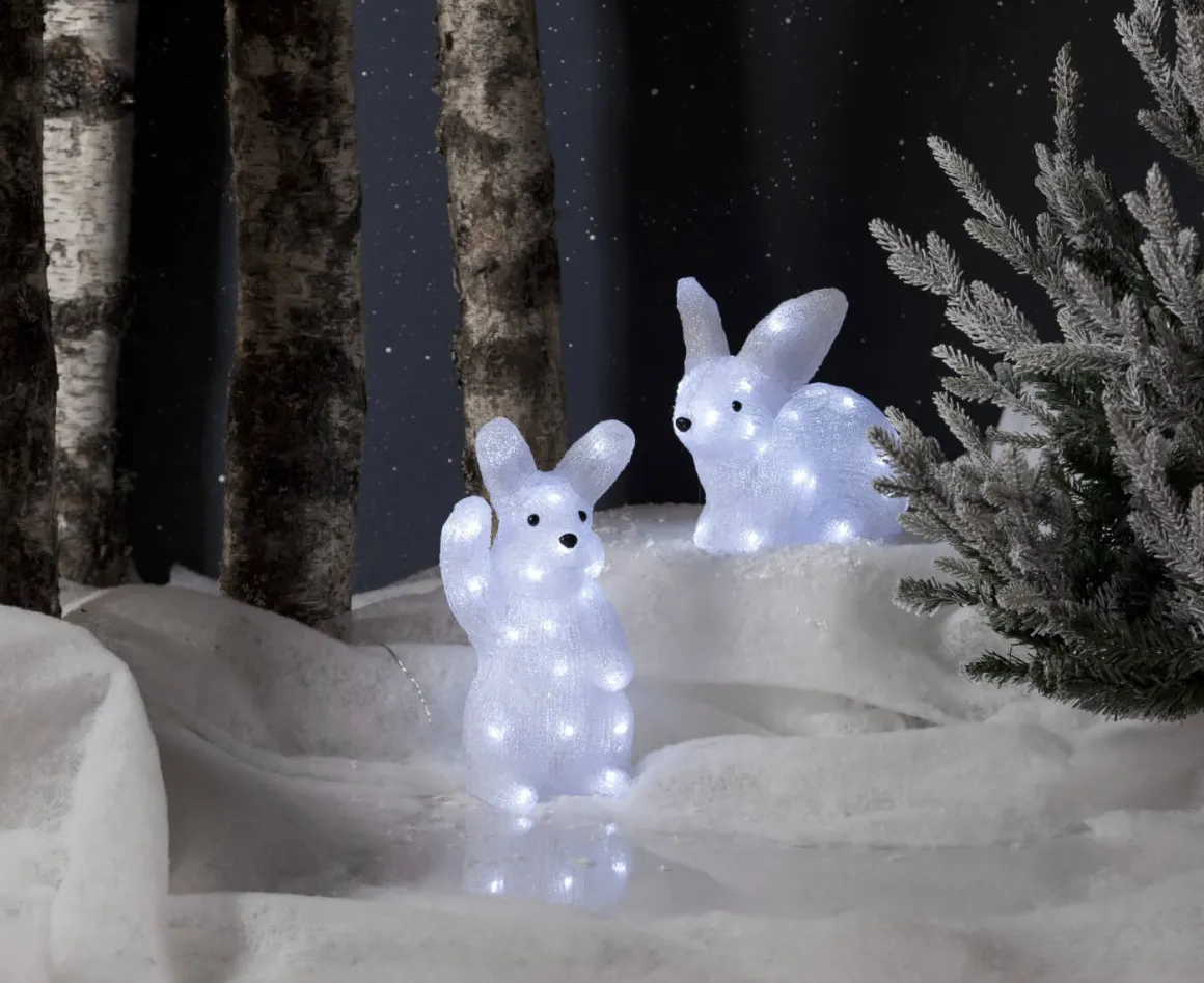 CRYSTALO Utomhusdekoration Kanin Batteri 29cm 30LED Klar IP44