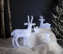 CRYSTALO Utomhusdekoration Kanin Batteri 27cm 30LED Klar IP44