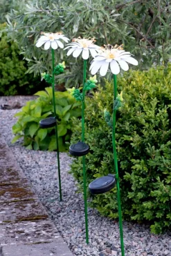 DAISY Solcellsdekoration Prästkrage 77cm