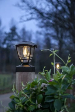 FELIX Solcellsdekoration 19cm Svart