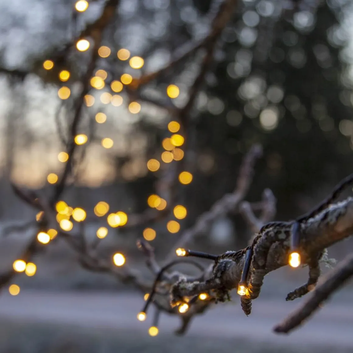 FLASHY Ljusslinga 21m 300LED Extra varmvit/Svart IP44