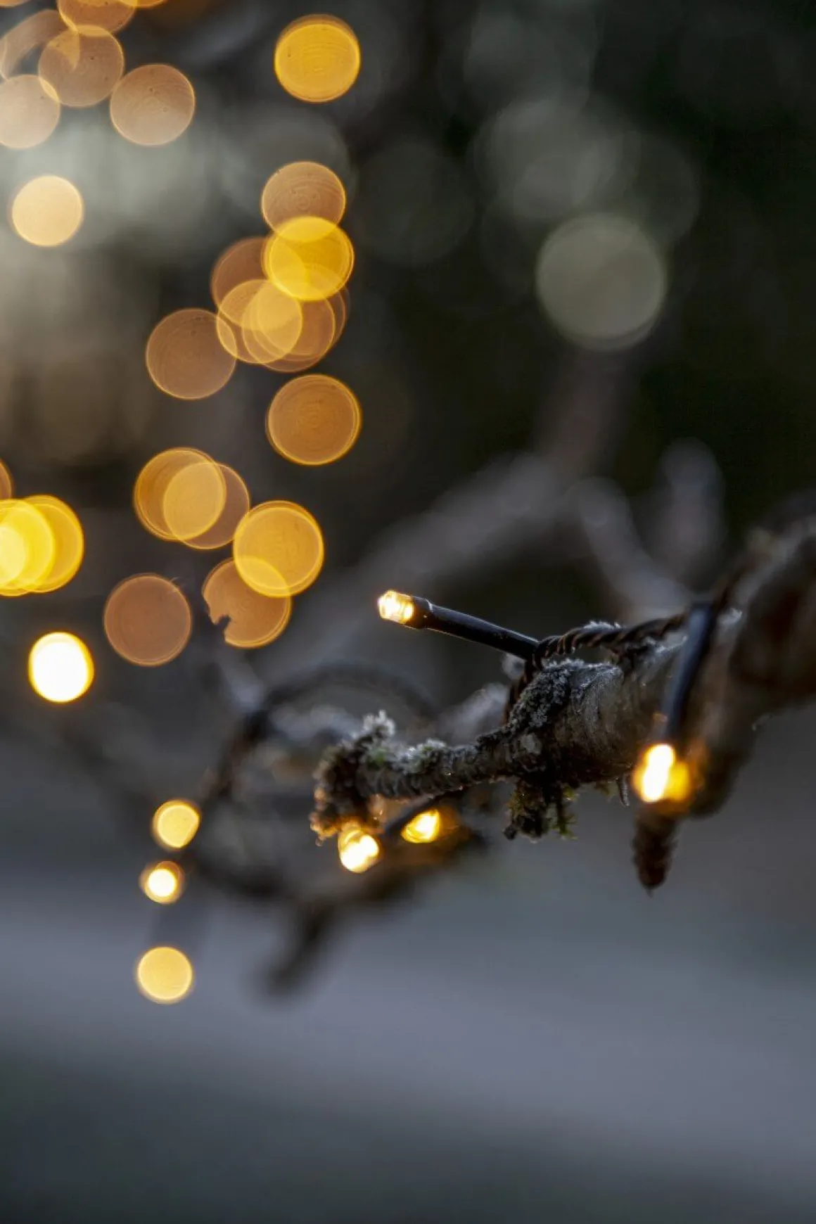 FLASHY Ljusslinga 21m 300LED Extra varmvit/Svart IP44