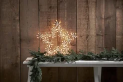 FLOWER STAR Siluett 200L 60cm