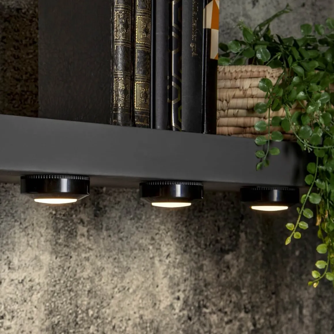 FUNCTIONAL LED-Puck 3-Pack Batteri 6,9cm Svart