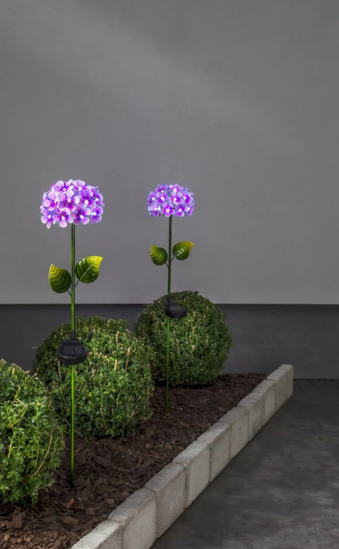 HORTENSIA Solcellspinne 77cm Rosa