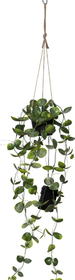 LAOS Konstväxt 60cm Grön