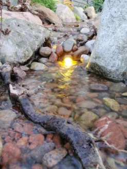 LED Spot Power 3W 1-pack Plast