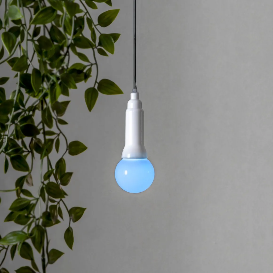 LIGHTY Lampupphäng Utomhus 750cm Svart/Multi