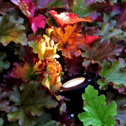 LUMINUS Allroundspot 10cm 12V Svart IP65