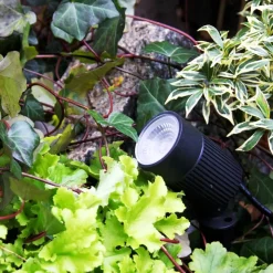 MEDUSA Trädgårdsspot 8,5cm 12V Svart IP67