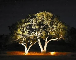 MEDUSA Trädgårdsspot 8,5cm 12V Svart IP67