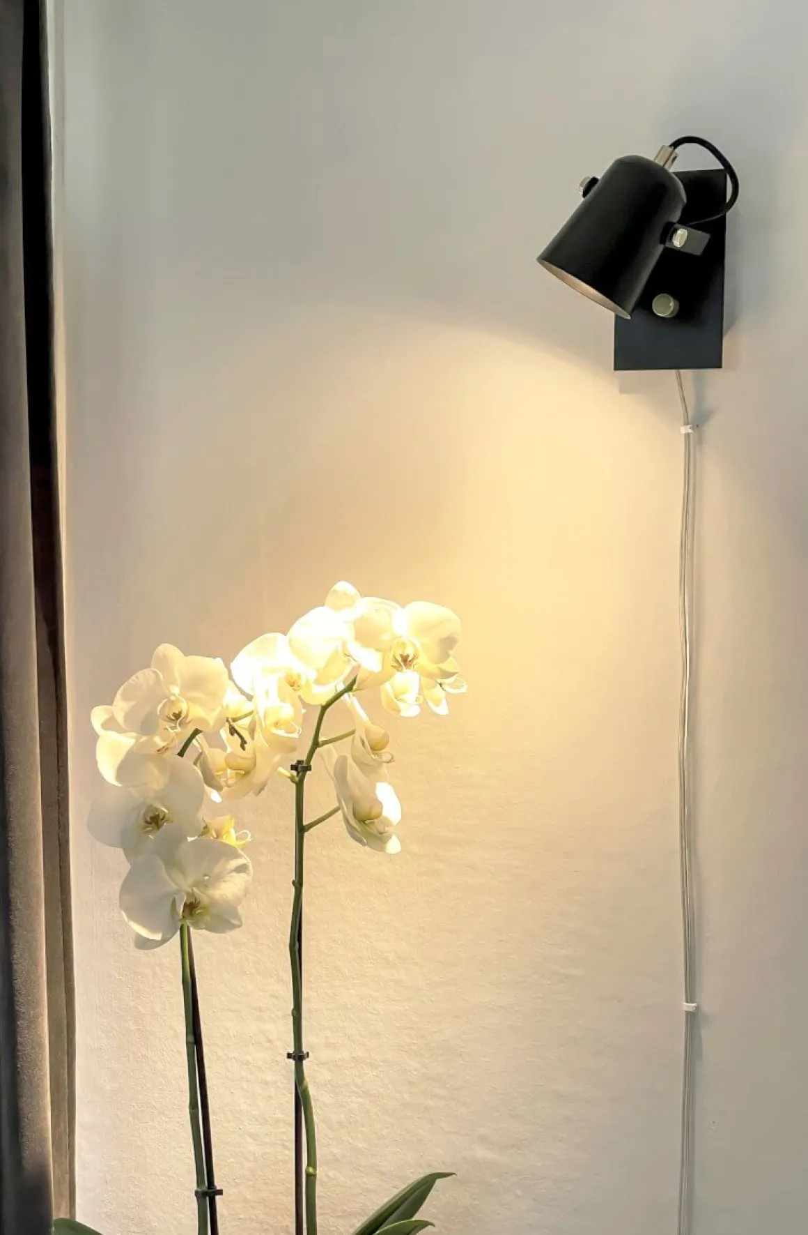 METZ Vägglampa 18cm Svart/Matt Mässing