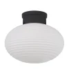 NOVA Plafond 30cm Svart/Opal