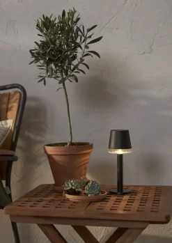 PARVUS Solcellsdekoration 21cm Svart