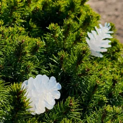 PINE Ljusslinga 10m 12V IP44