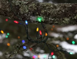 P-LED Ljusslinga Utomhus 16m 80LED IP44 Flerfärgad Grön