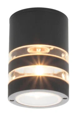 RIBB Taklampa Ute 10,8cm Svart IP44