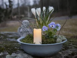 SERENE LED-Gravljus Sensor 10cm LED Vit