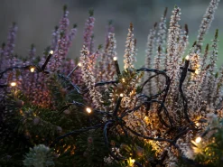 SERIE MICROLED Ljusslinga 18m 180LED Varmvit/Svart IP44