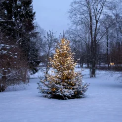 SHINY WARMWHITE Julgransbelysning 200cm 360LED Varmvit/Grön IP44