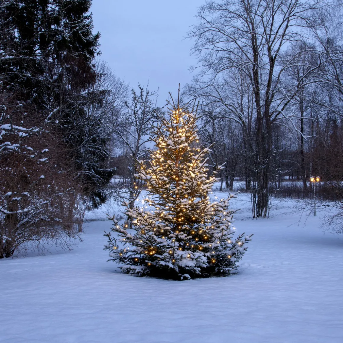 SHINY WARMWHITE Julgransbelysning 200cm 360LED Varmvit/Grön IP44