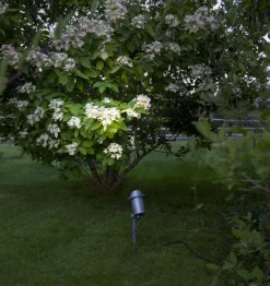 SPOTLIGHT FOCUS Utomhusdekoration 30cm Svart IP44