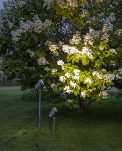 SPOTLIGHT FOCUS Utomhusdekoration 30cm Svart IP44