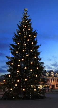 SYSTEM 24 EXTRA Ljusslinga 10m 98LED Varmvit/Svart IP44