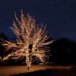 SYSTEM EXPO jusslinga Start 5m IP44 Klar