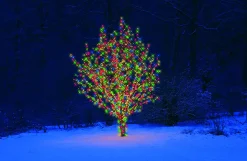 SYSTEM EXPO Ljusslinga Extra 10m IP44 Flerfärgad