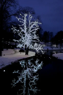 SYSTEM LED EXTRA Ljusslinga 3m 30LED Kallvit/Svart IP44