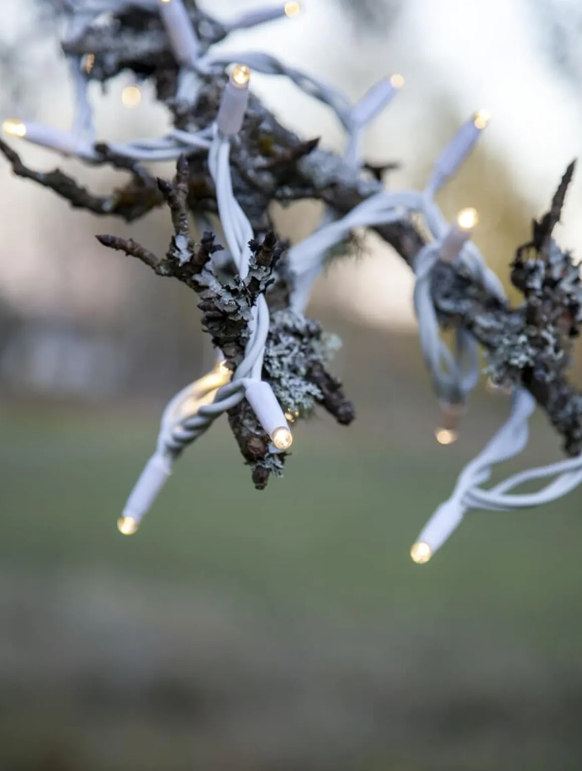 SYSTEM LED EXTRA Ljusslinga 5m 50LED Varmvit/Vit IP44