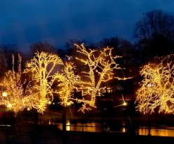 System LED Ljusnät Extra 3x3m 192LED Svart/Varmvit