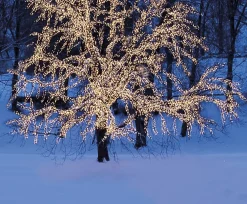 System LED Ljusnät Extra 3x3m 192LED Svart/Varmvit