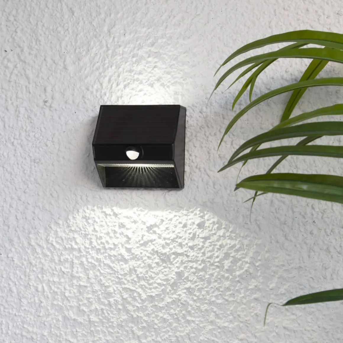 WALLY 50/5 LUMEN Solcells-vägglykta 11cm Svart