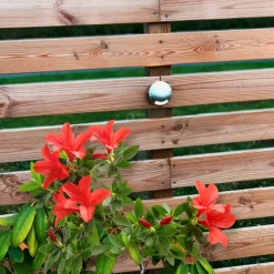 ZENIT Decklight 7cm 5-Pack inkl. Trafo 12V IP67